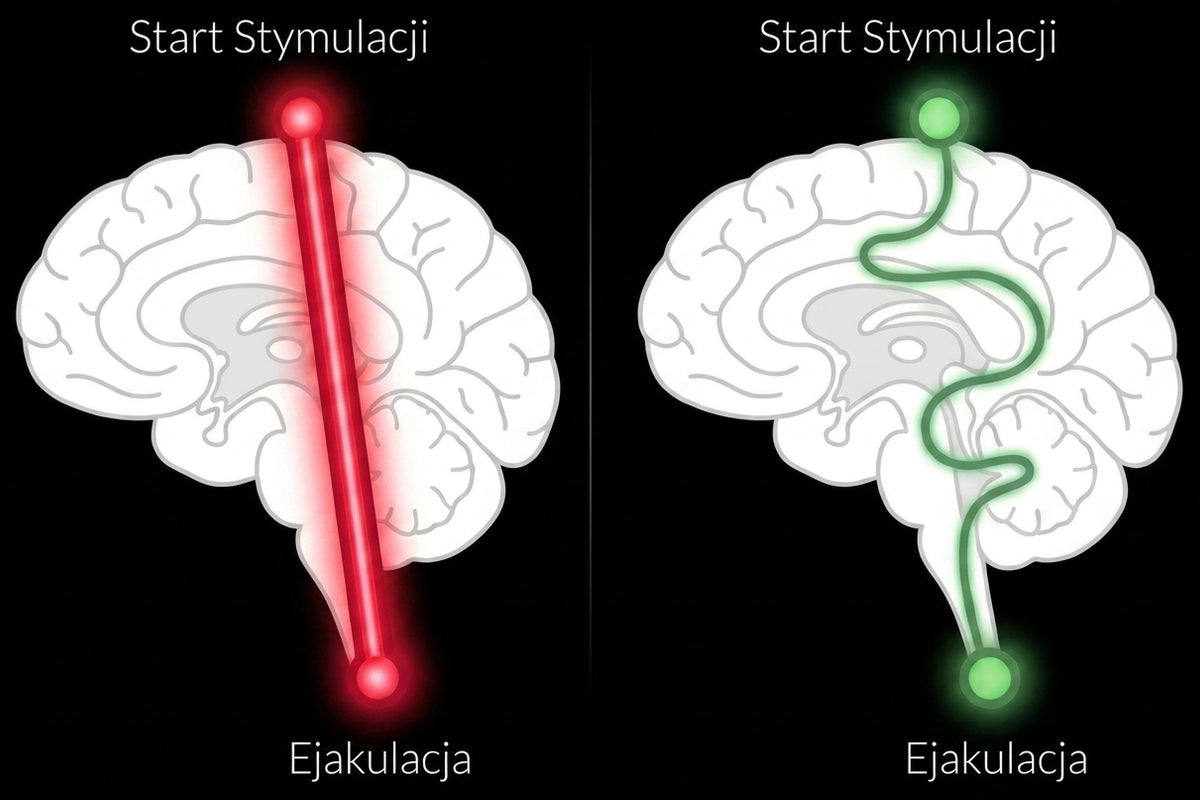 DLACZEGO TWOJE CIAŁO DECYDUJE ZAMIAST CIEBIE?